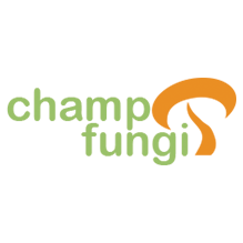 CFG